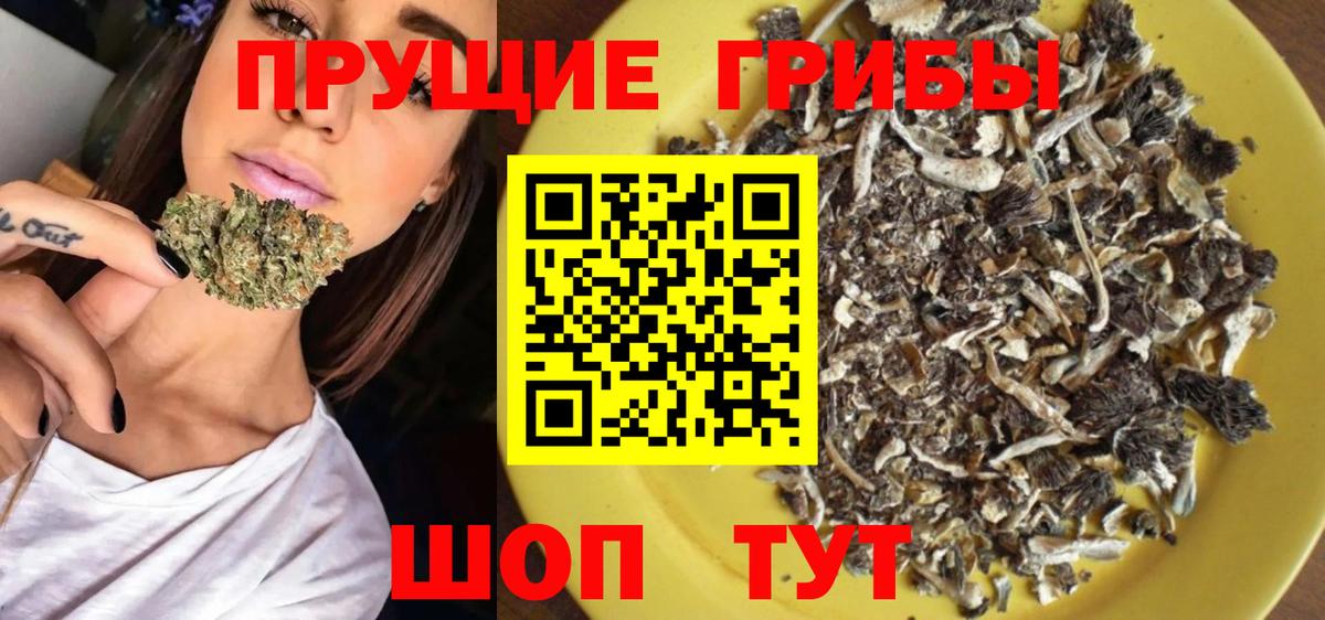 Владикавказ  Галлюциногенные грибы GOLDEN TEACHER  Псилоцибиновые грибы Cubensis  продажа наркотиков  Вход с VPN 